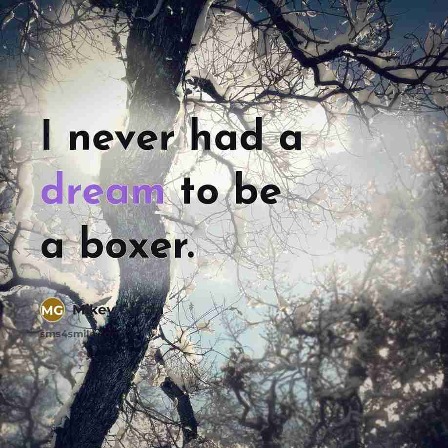 “I never had a dream to be a boxer.…” quote by Mikey Garcia