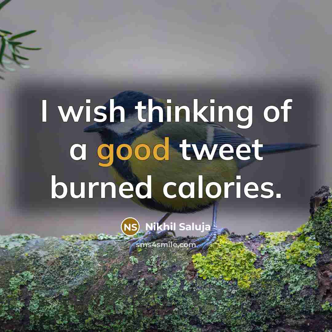 “I wish thinking of a good tweet burned calories.…” quote by Nikhil Saluja