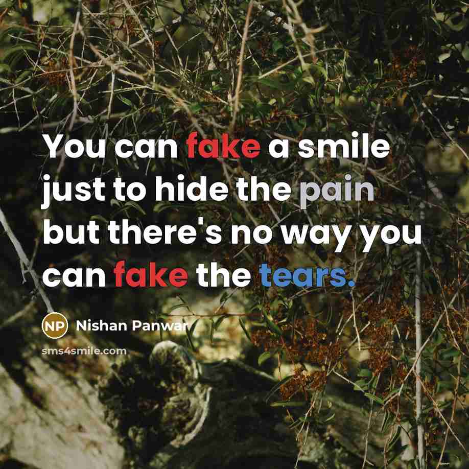 “You can fake a smile just to hide the pain…” quote by Nishan Panwar