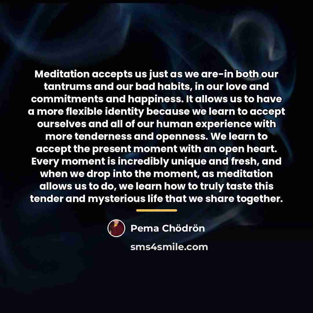 “Meditation accepts us just as we are-in both our tantrums…” quote by Pema Chodron