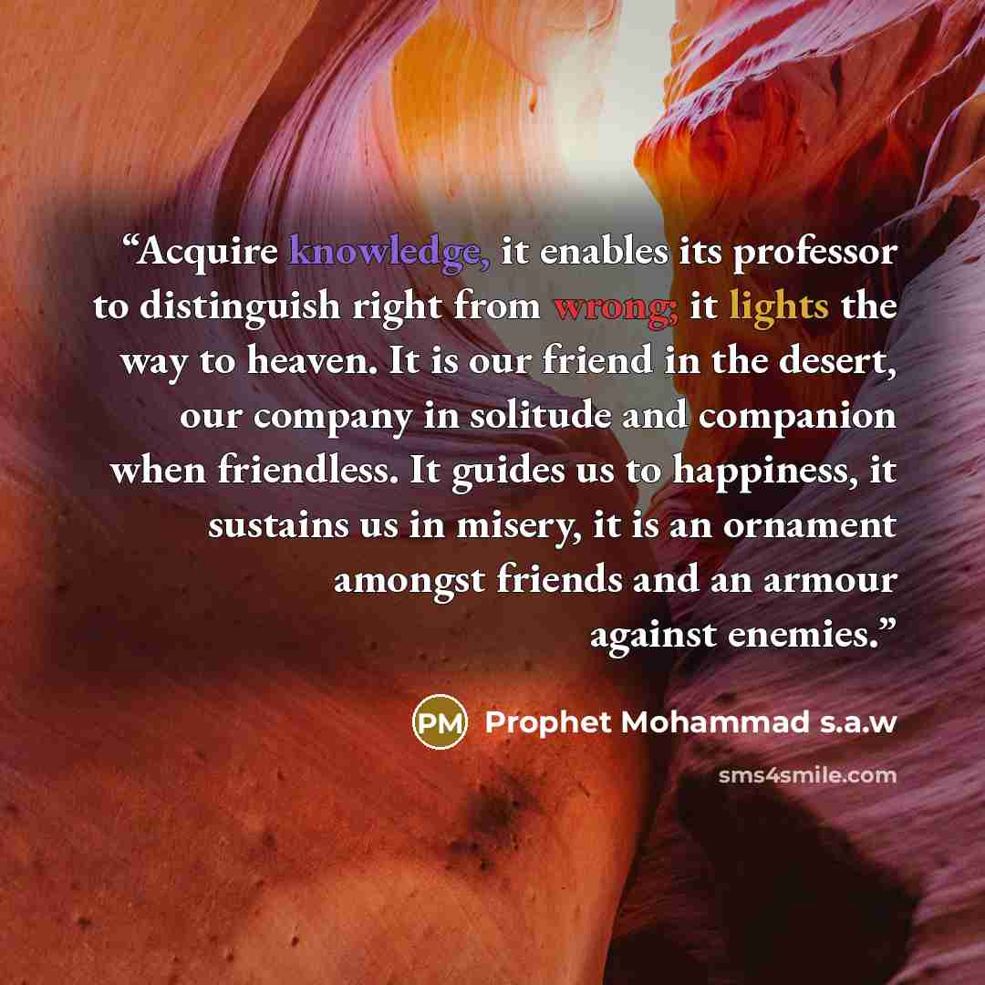 “Acquire knowledge, it enables its professor to distinguish right from wrong; it lights the way to heaven. It is our friend in the desert, our company in solitude and companion when friendless. It guides us to happiness, it sustains us in misery, it is an ornament amongst friends and an armour…” quote by Prophet Mohammad s.a.w