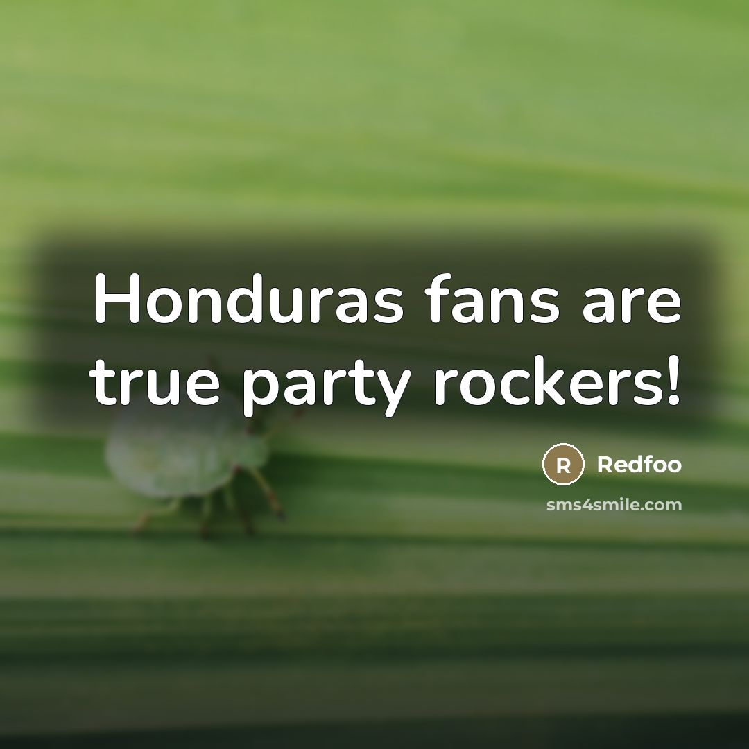 “Honduras fans are true party rockers!…” quote by Redfoo
