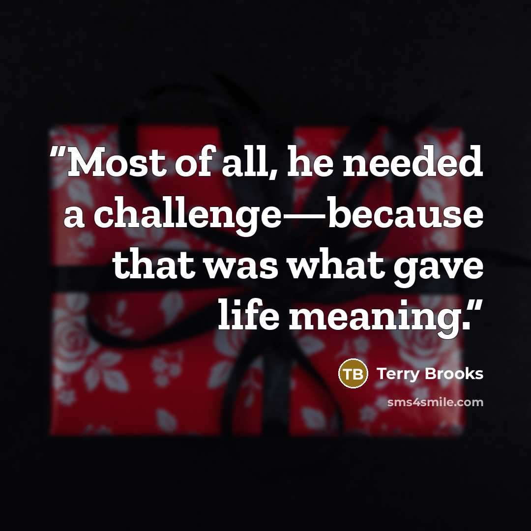 “Most of all, he needed a challenge—because that was what gave life meaning.” quote by Terry Brooks
