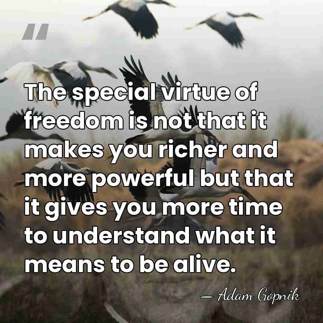 The special virtue of freedom is not that it makes you richer&hellip; - Adam Gopnik