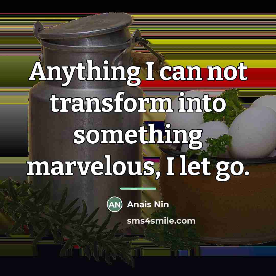 “Anything I can not transform into something marvelous, I let…” quote by Anais Nin