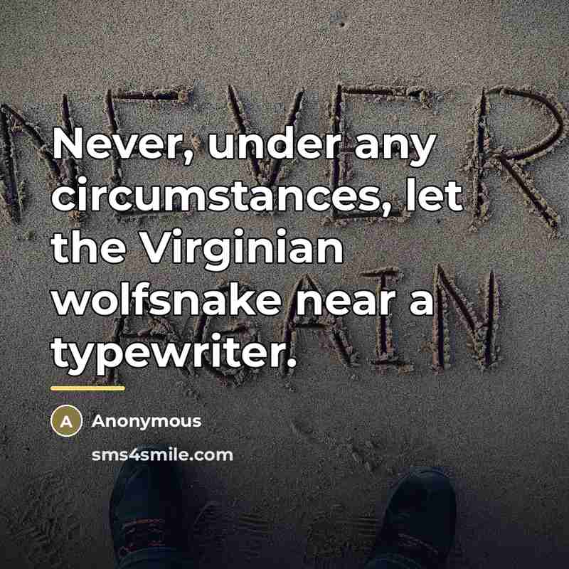 “Never, under any circumstances, let the Virginian wolfsnake near a…” quote by Anonymous