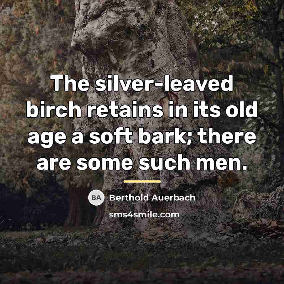 “The silver-leaved birch retains in its old age a soft…” quote by Berthold Auerbach