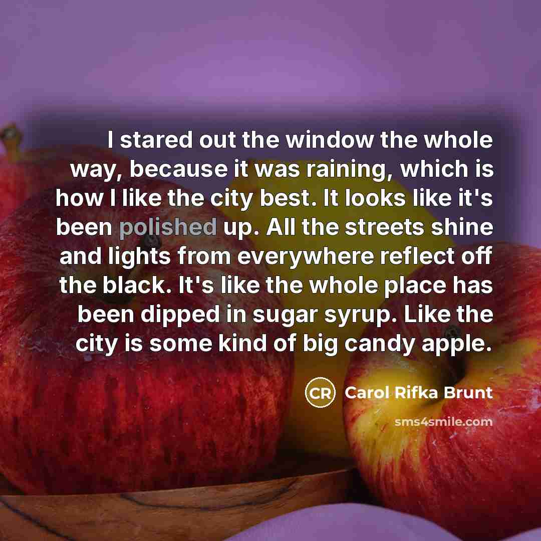 “I stared out the window the whole way, because it…” quote by Carol Rifka Brunt