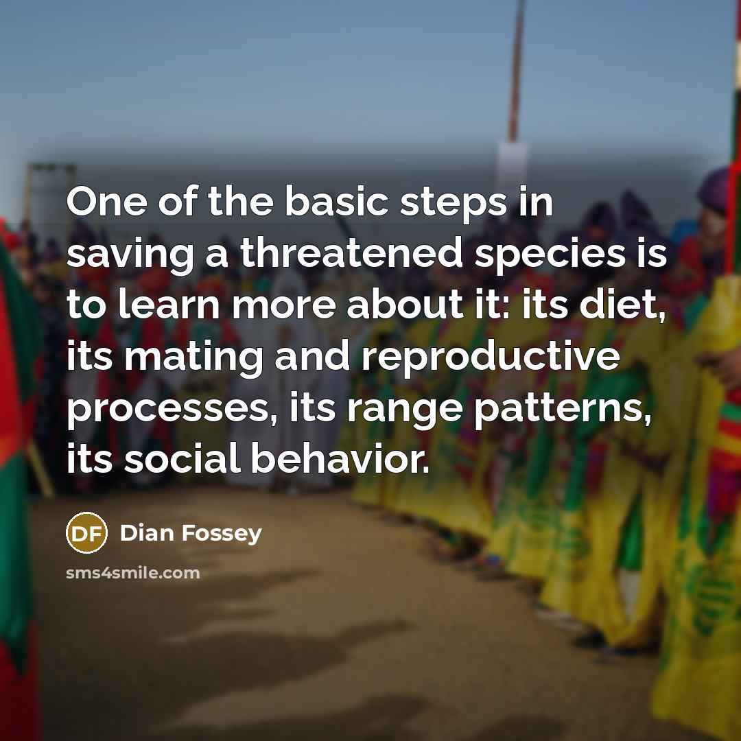 “One of the basic steps in saving a threatened species…” quote by Dian Fossey
