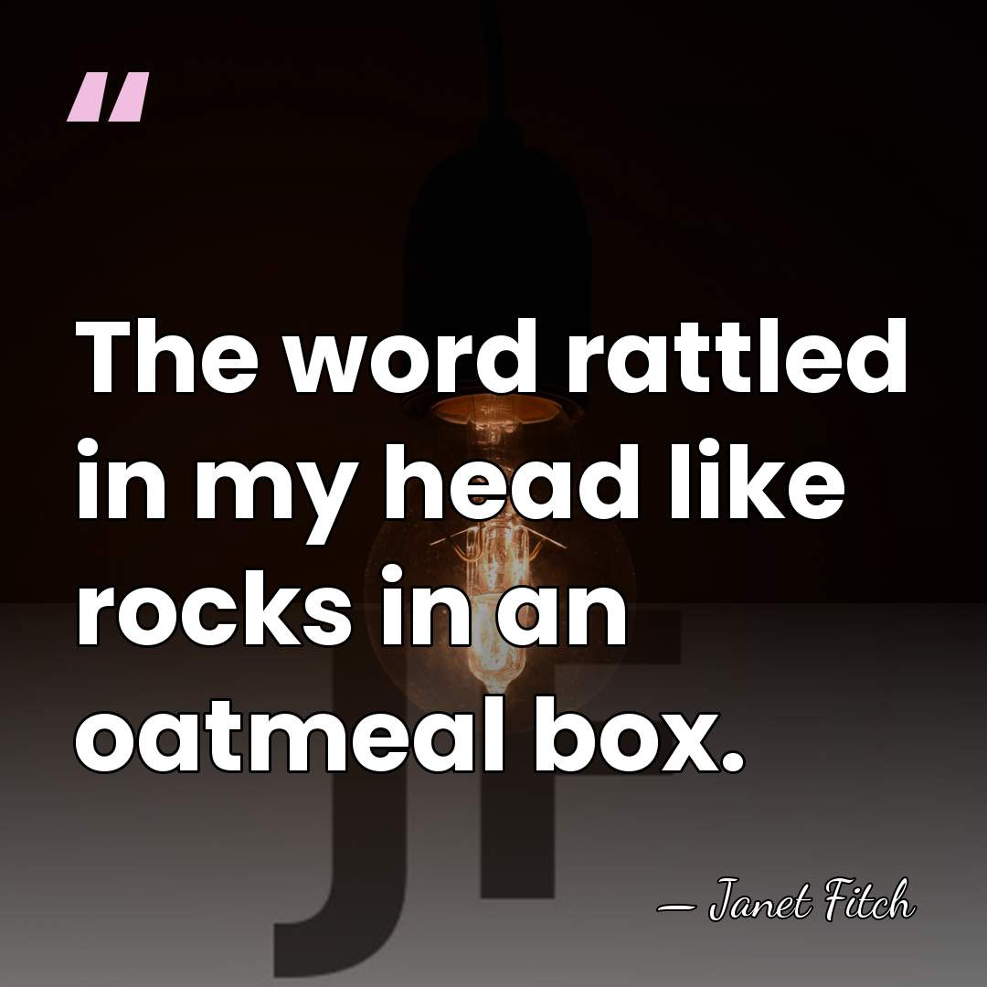 The word rattled in my head like rocks in an oatmeal box. - Janet Fitch