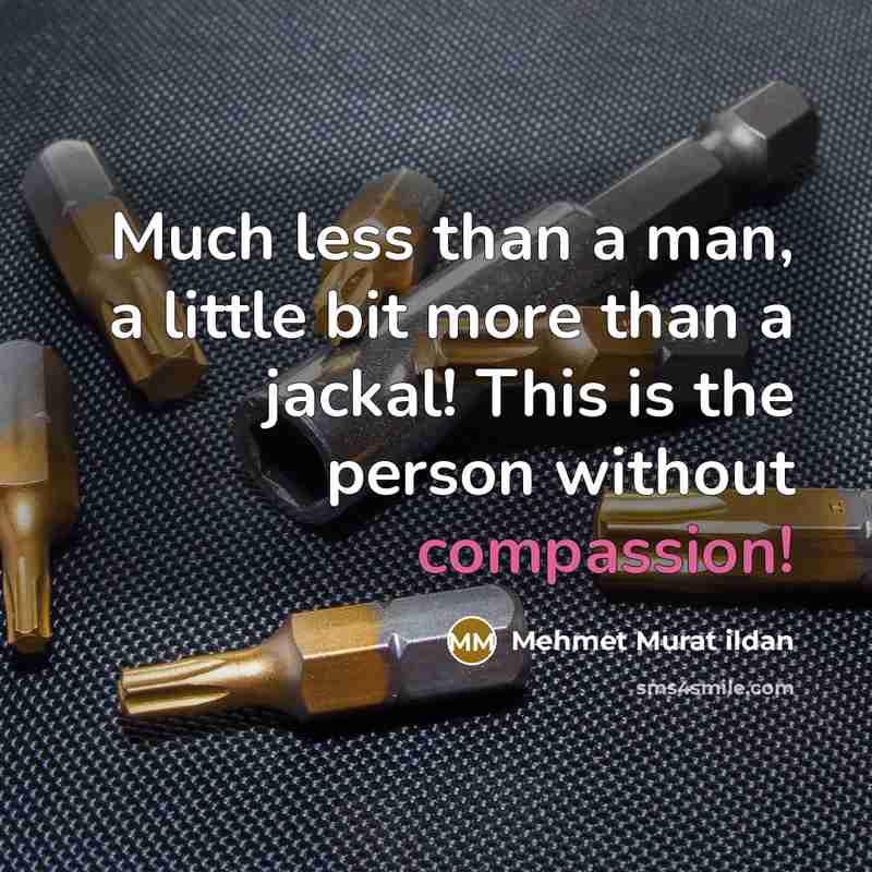 “Much less than a man, a little bit more than…” quote by Mehmet Murat Ildan
