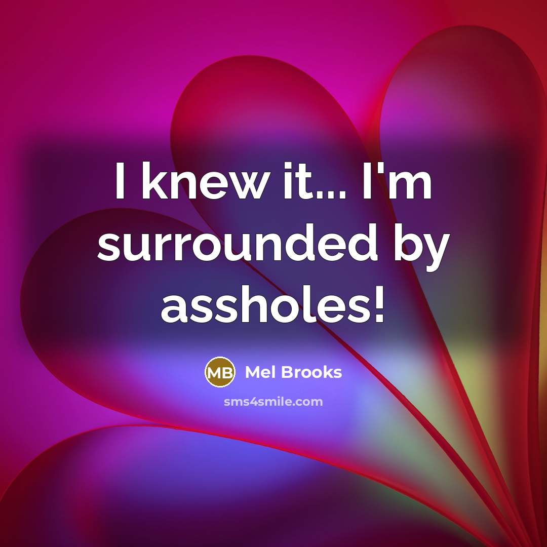 “I knew it... I'm surrounded by assholes!…” quote by Mel Brooks