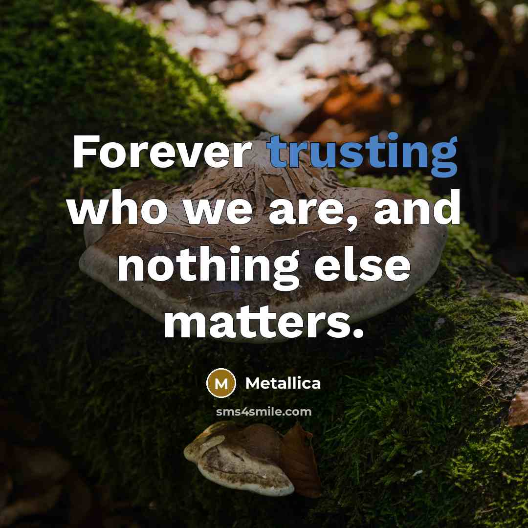 “Forever trusting who we are, and nothing else matters.” quote by Metallica