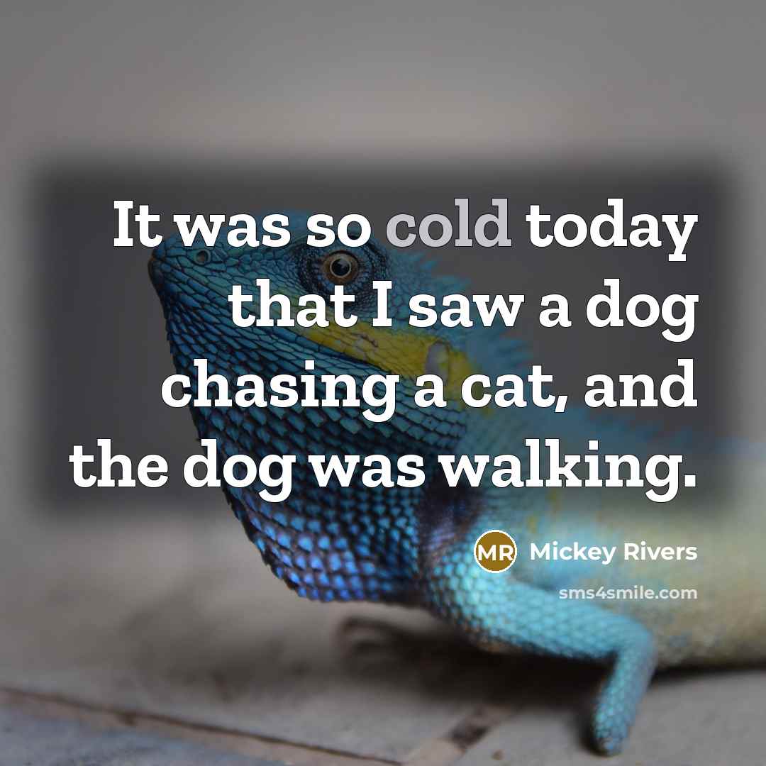 “It was so cold today that I saw a dog…” quote by Mickey Rivers