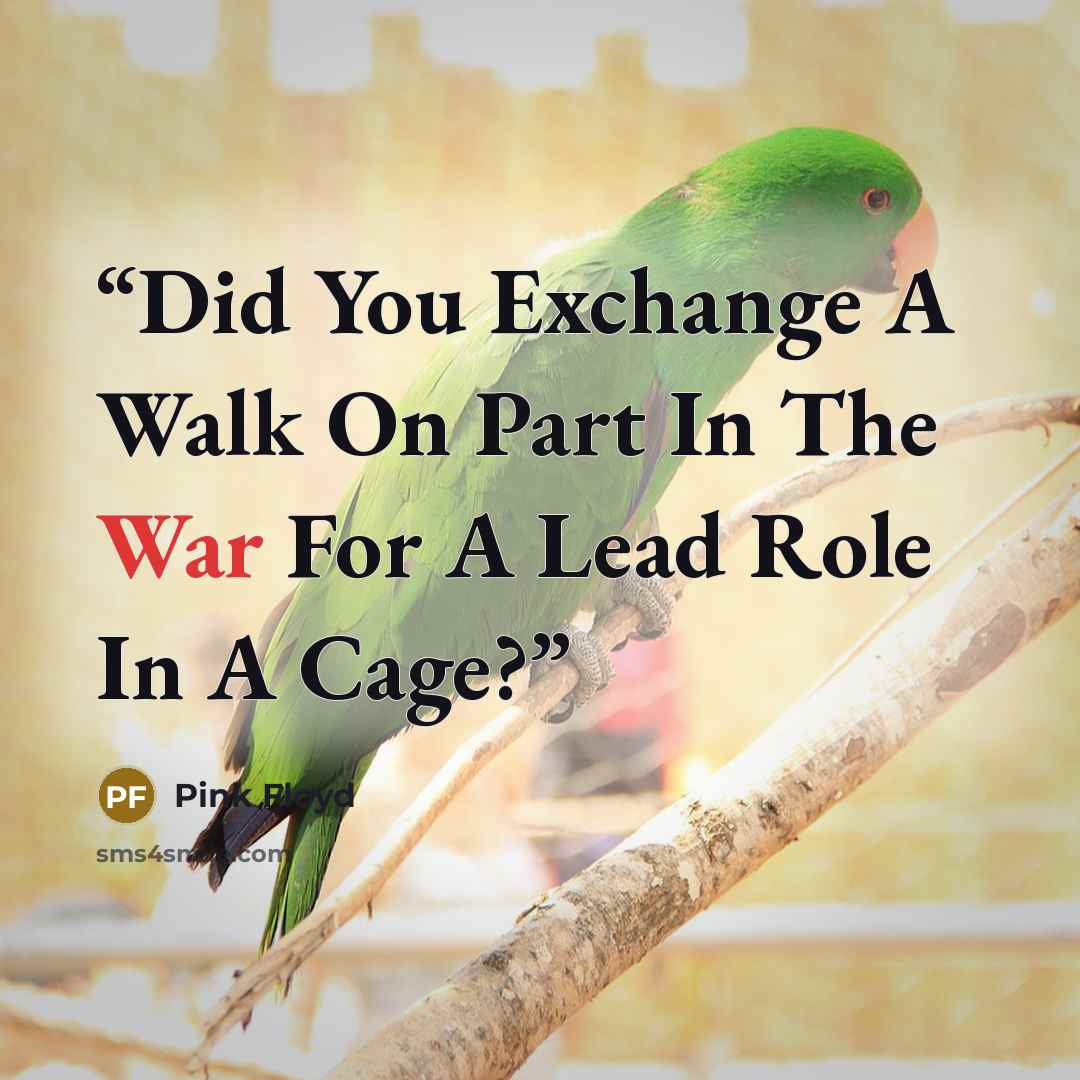 “Did You Exchange A Walk On Part In The War For A Lead Role In A Cage?” quote by Pink Floyd