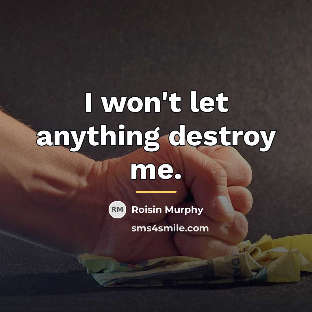 “I won't let anything destroy me.…” quote by Roisin Murphy