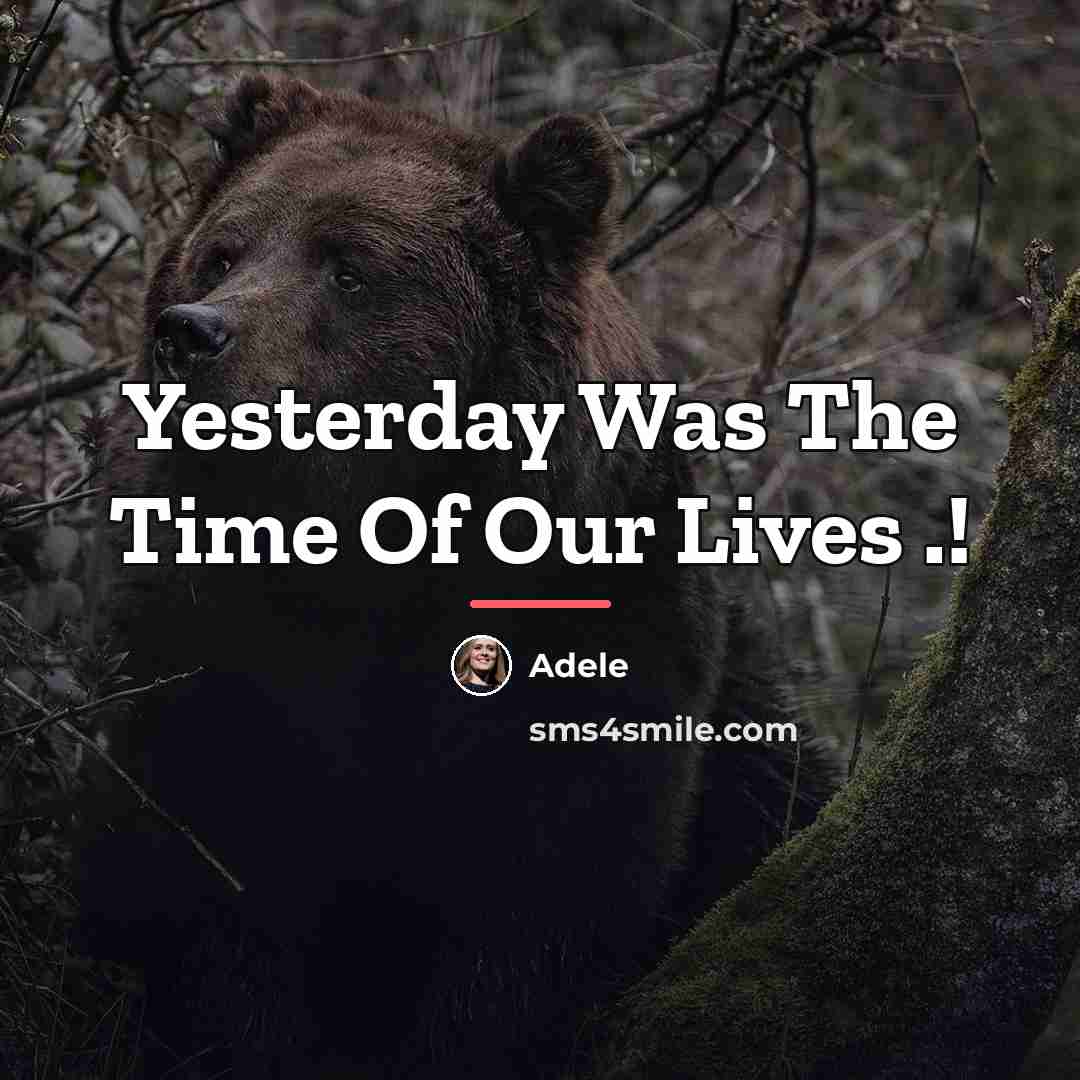“Yesterday Was The Time Of Our Lives .!…” quote by Adele