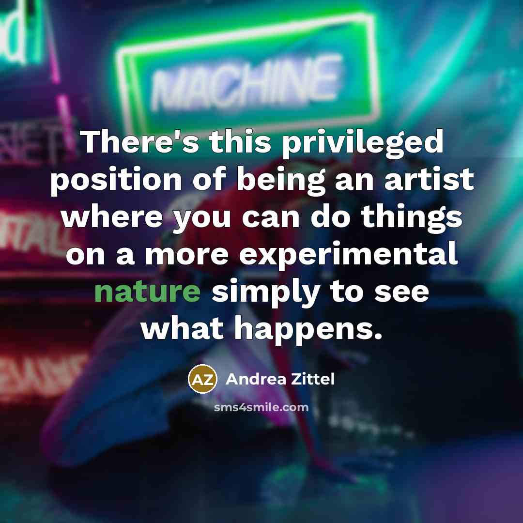 “There's this privileged position of being an artist where you…” quote by Andrea Zittel