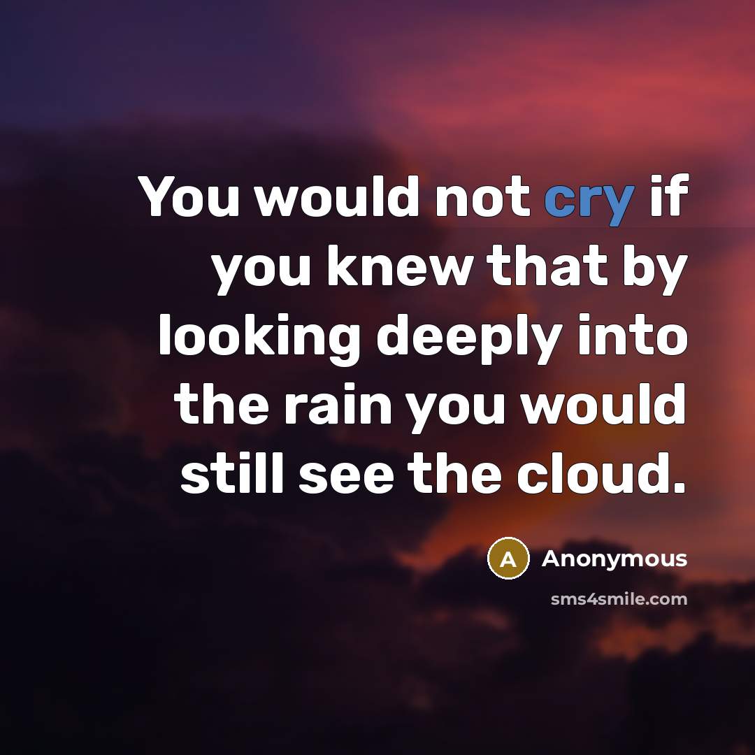 “You would not cry if you knew that by looking…” quote by Anonymous