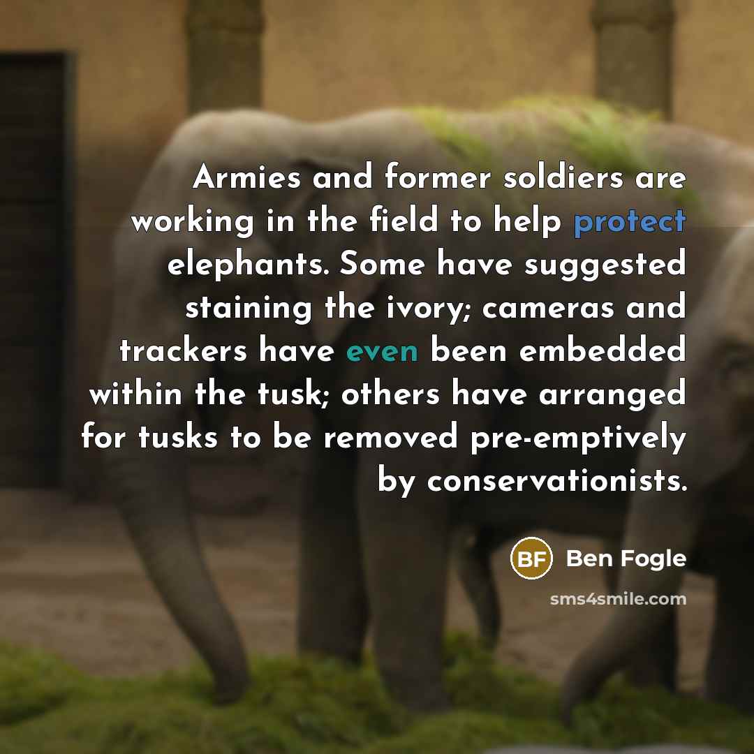“Armies and former soldiers are working in the field to…” quote by Ben Fogle