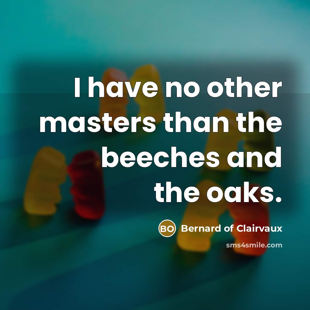 “I have no other masters than the beeches and the…” quote by Bernard of Clairvaux