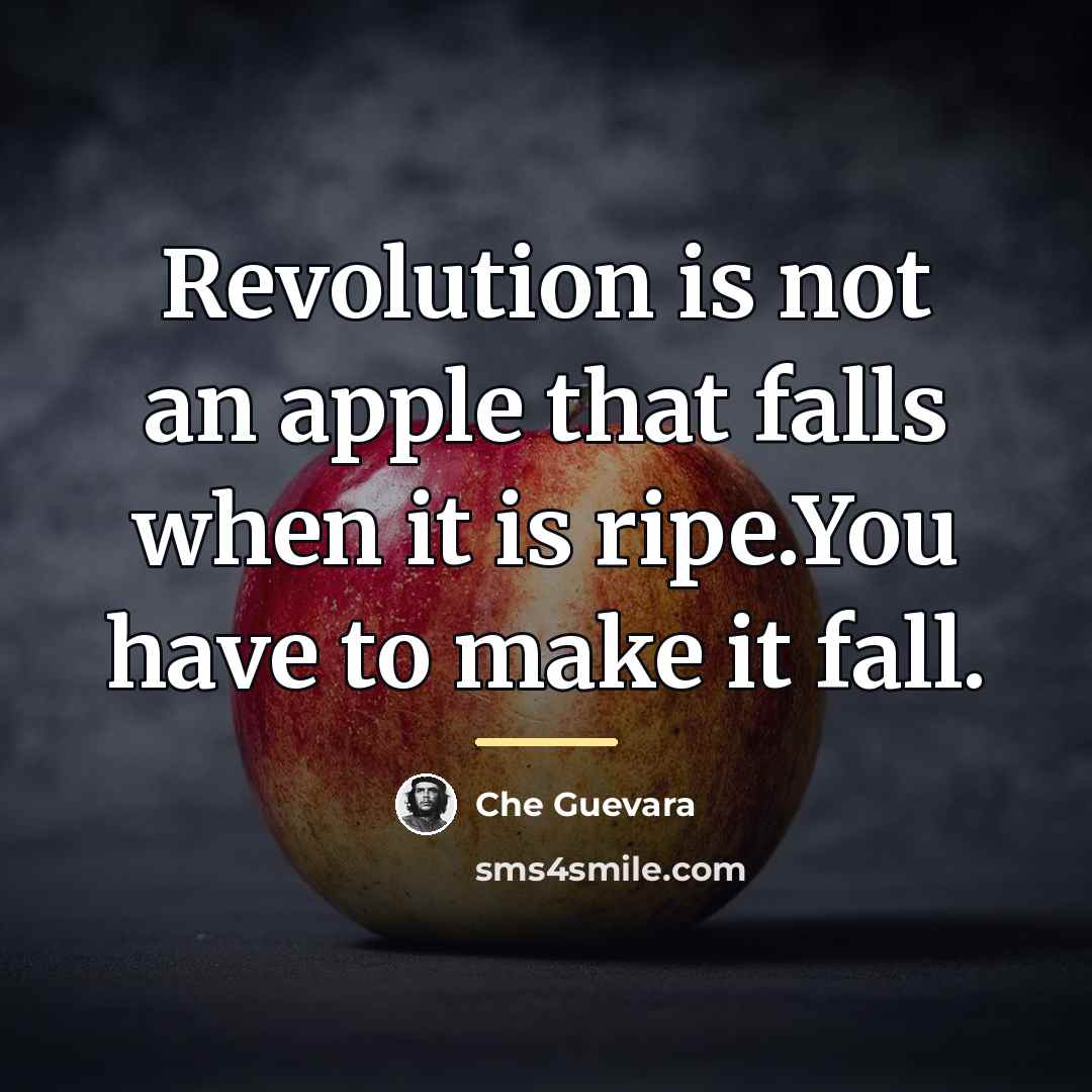 “Revolution is not an apple that falls when it is…” quote by Che Guevara