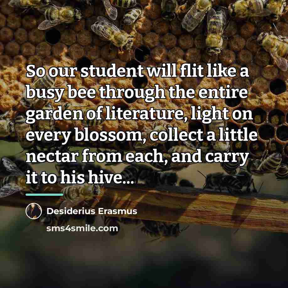“So our student will flit like a busy bee through…” quote by Desiderius Erasmus