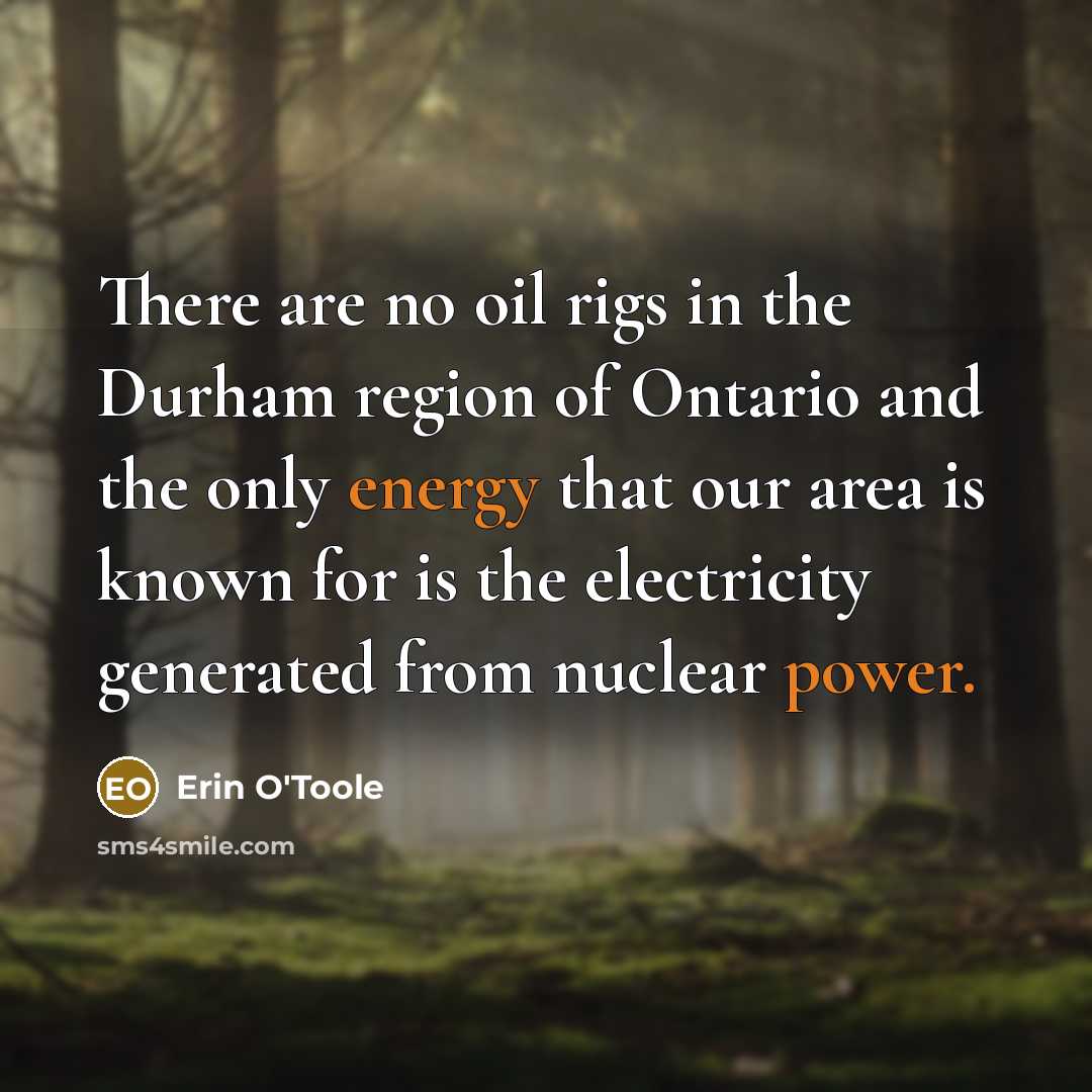 “There are no oil rigs in the Durham region of…” quote by Erin O'Toole