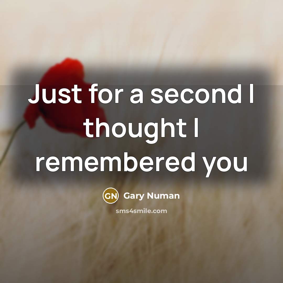 “Just for a second I thought I remembered you” quote by Gary Numan