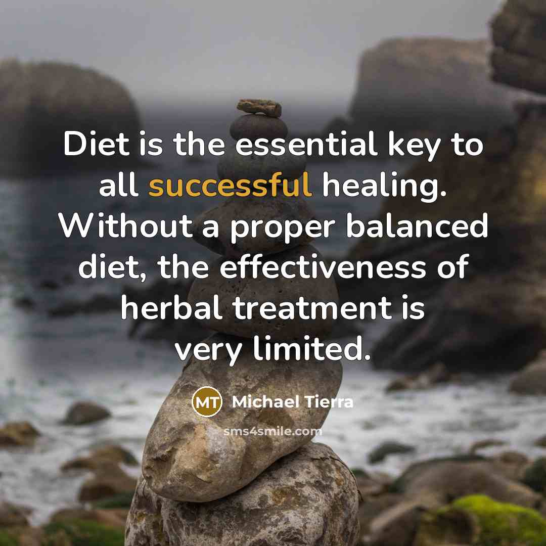 “Diet is the essential key to all successful healing. Without…” quote by Michael Tierra