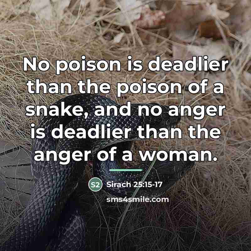 “No poison is deadlier than the poison of a snake,…” quote by Sirach 25:15-17