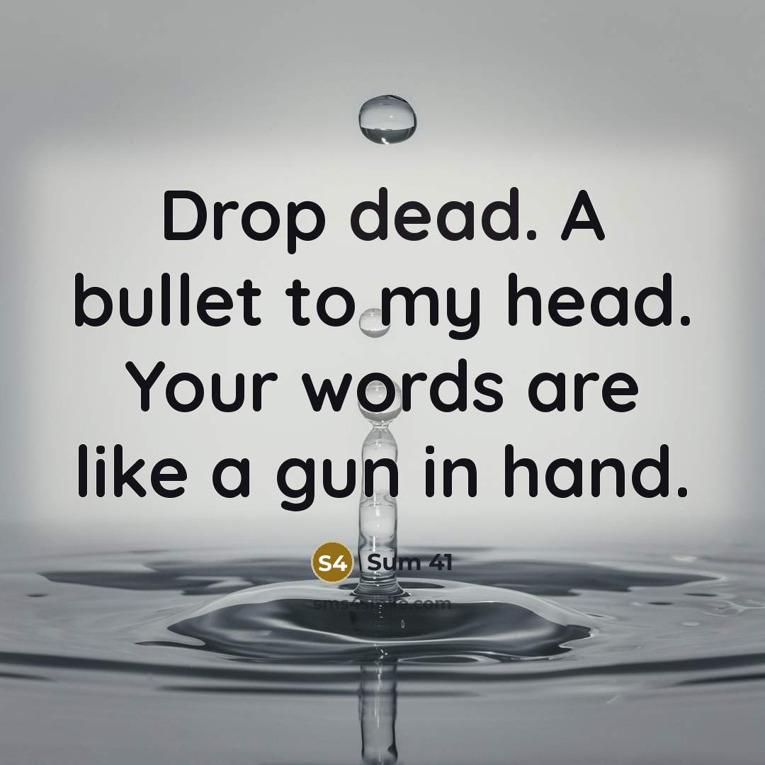 “Drop dead. A bullet to my head. Your words are…” quote by Sum 41
