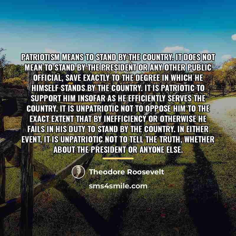 “Patriotism means to stand by the country. It does not…” quote by Theodore Roosevelt