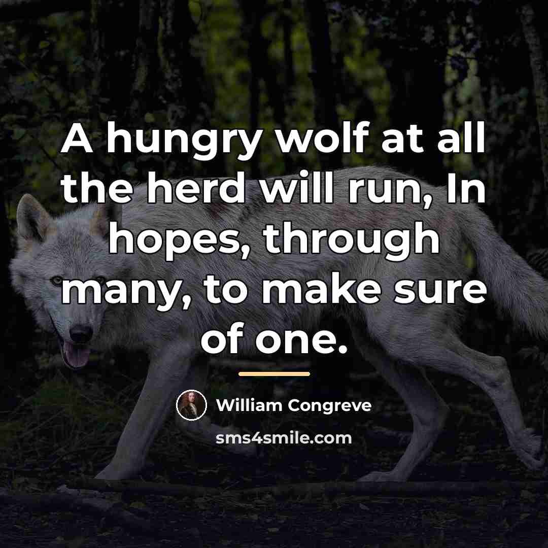 “A hungry wolf at all the herd will run, In…” quote by William Congreve
