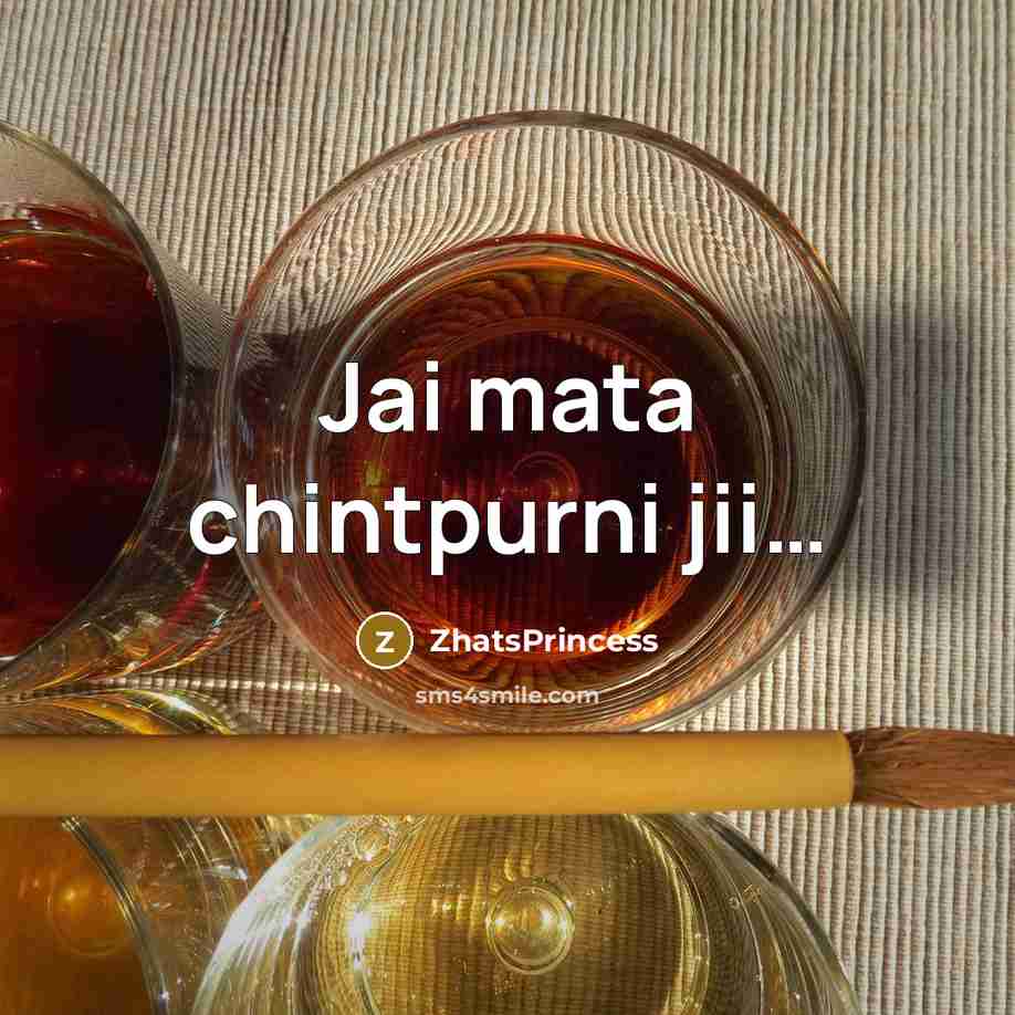 “Jai mata chintpurni jii....…” quote by ZhatsPrincess