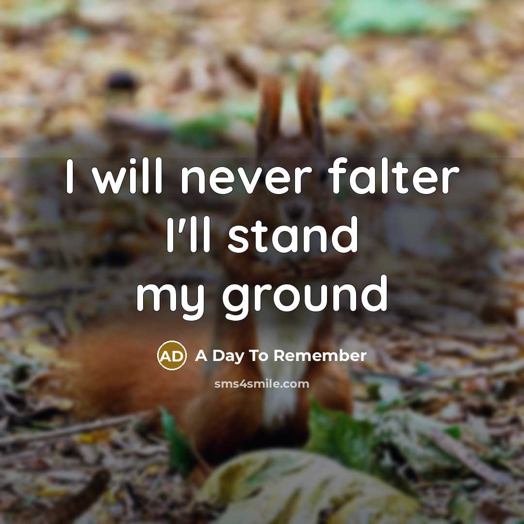 “I will never falter I'll stand my ground” quote by A Day To Remember