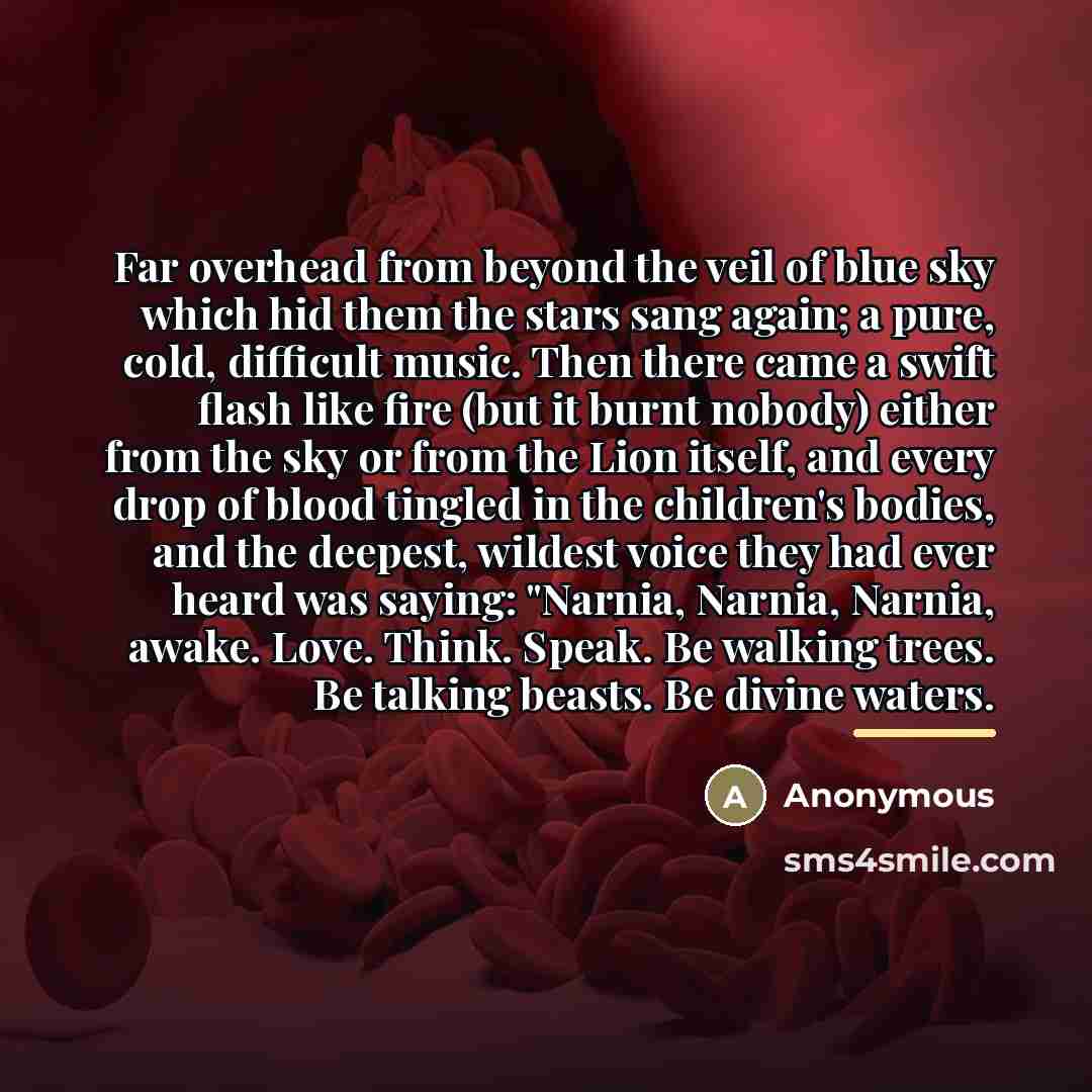“Far overhead from beyond the veil of blue sky which…” quote by Anonymous