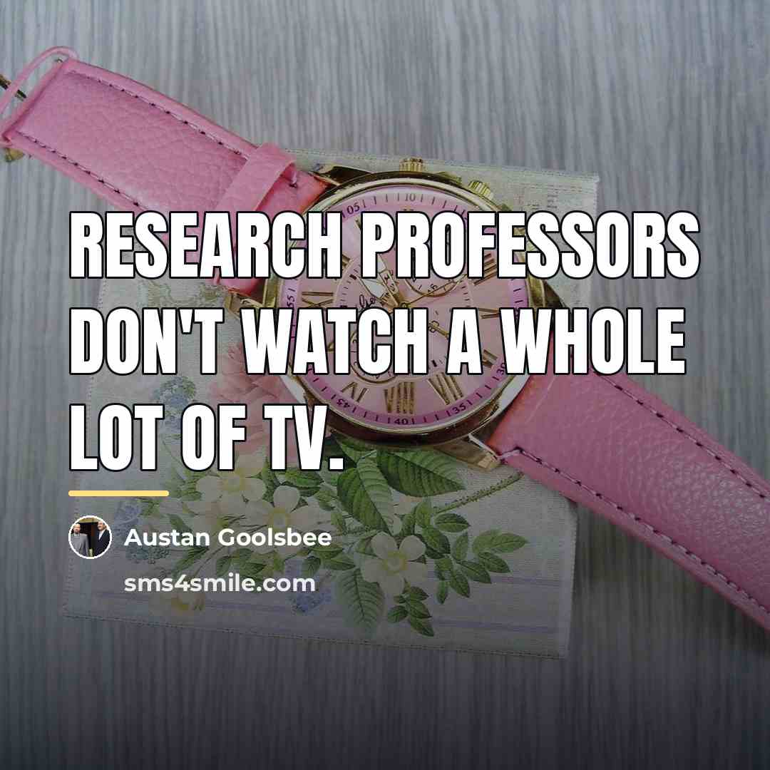 “Research professors don't watch a whole lot of TV.…” quote by Austan Goolsbee