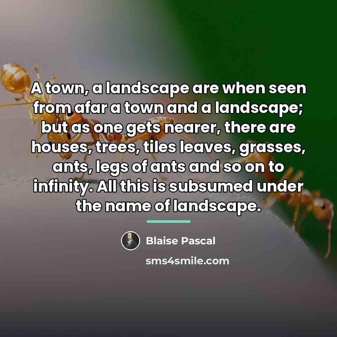 “A town, a landscape are when seen from afar a…” quote by Blaise Pascal