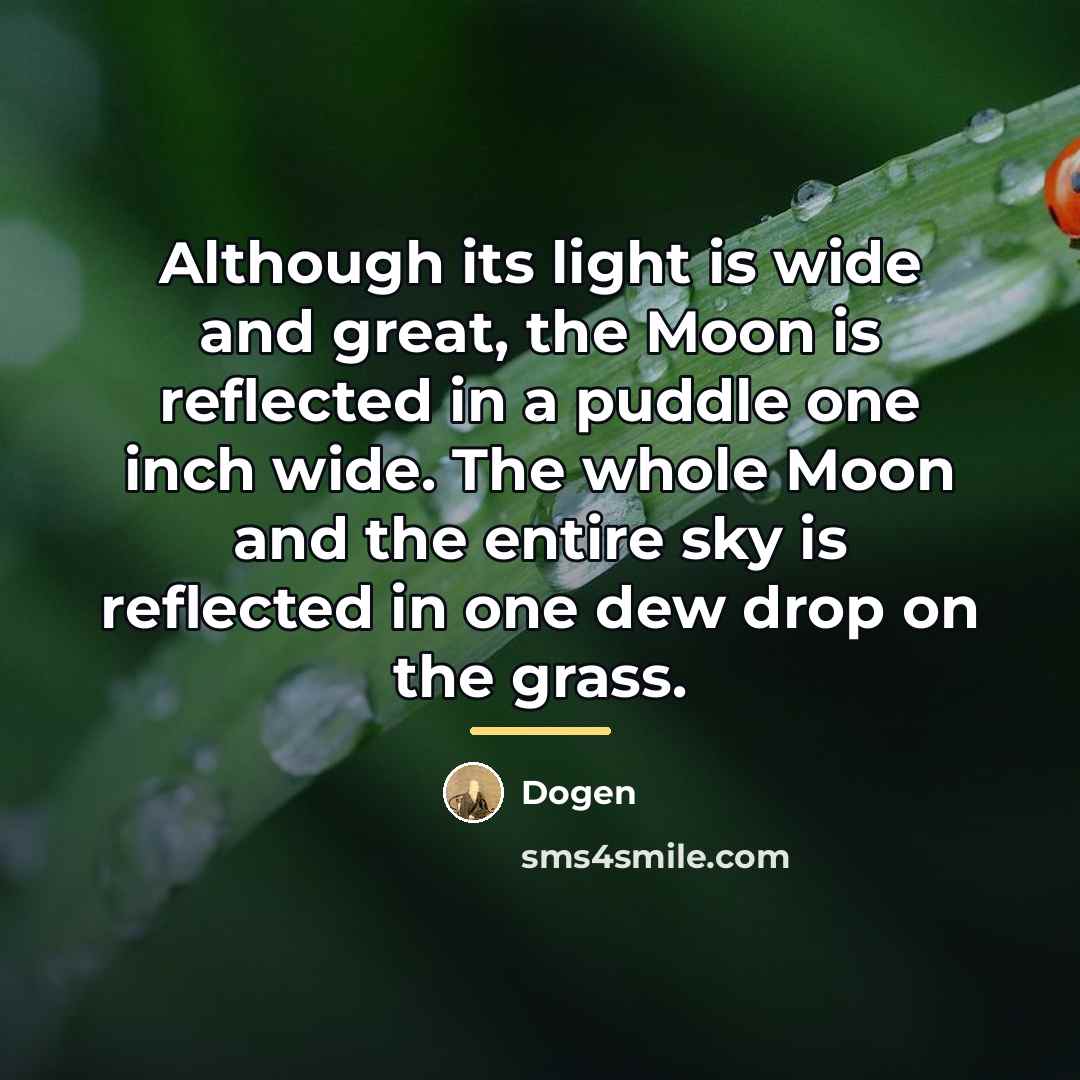 “Although its light is wide and great, the Moon is…” quote by Dogen