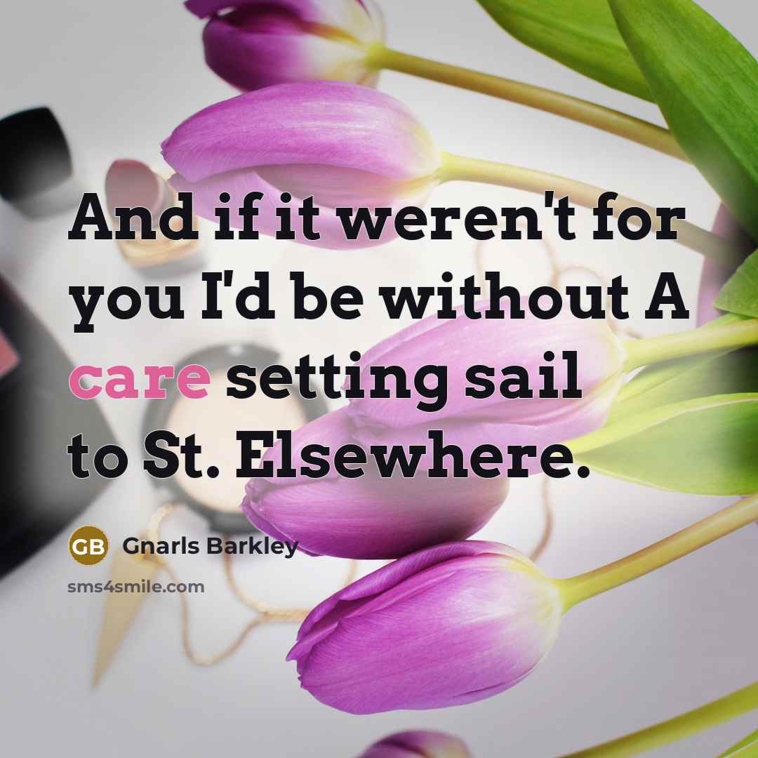 “And if it weren't for you I'd be without A care setting sail to St. Elsewhere.” quote by Gnarls Barkley
