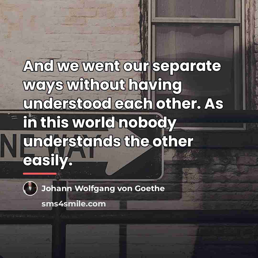 “And we went our separate ways without having understood each…” quote by Johann Wolfgang von Goethe