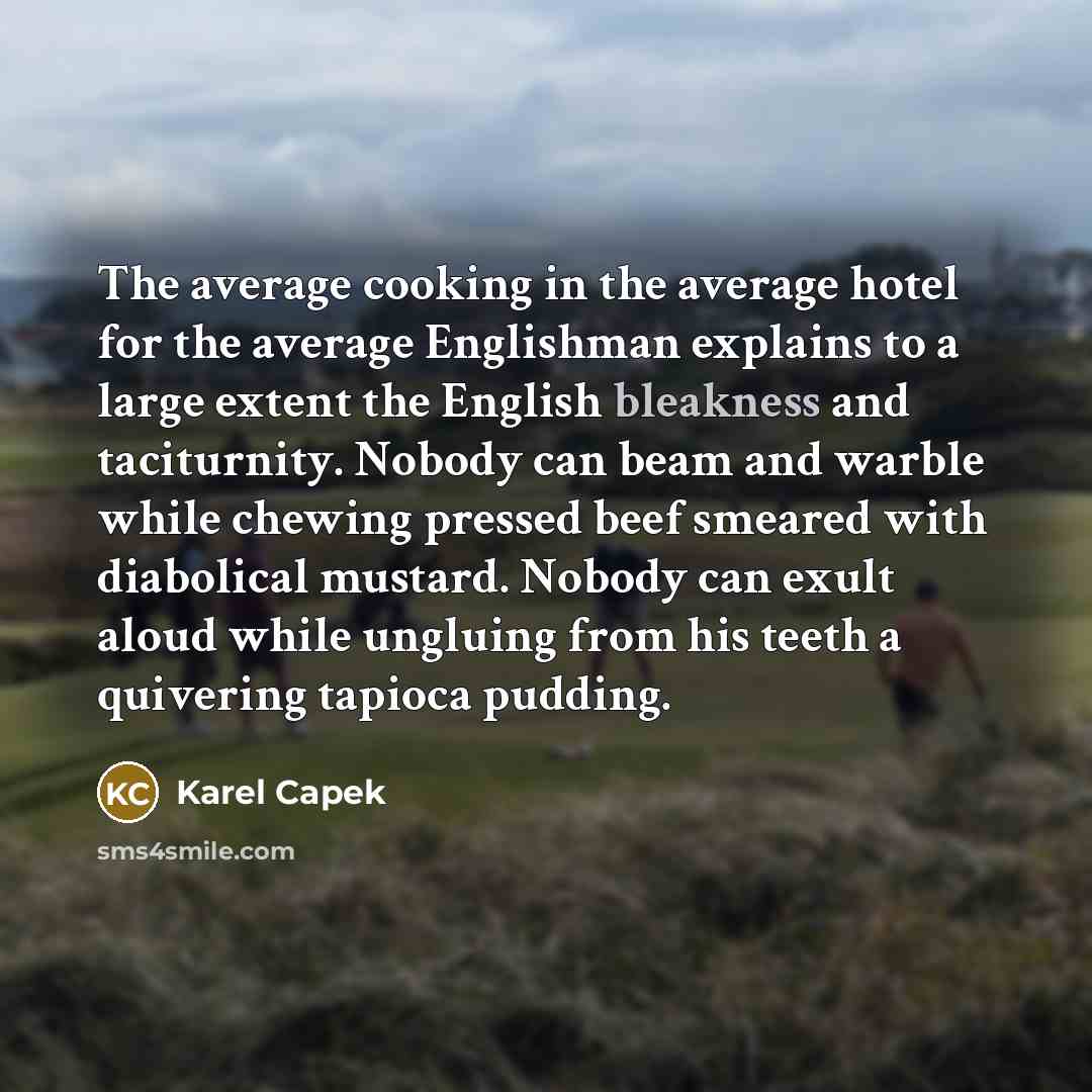 “The average cooking in the average hotel for the average…” quote by Karel Capek