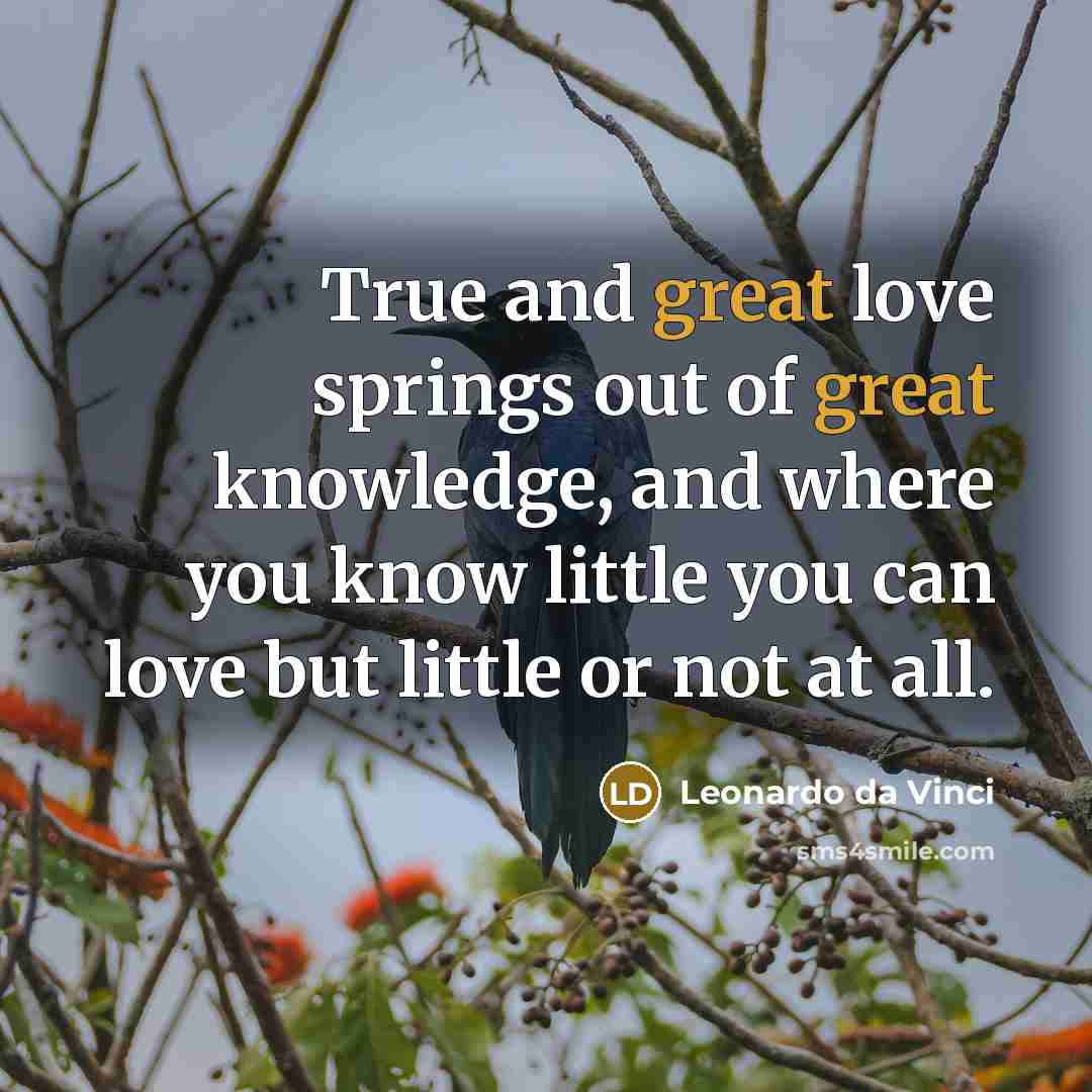 “True and great love springs out of great knowledge, and…” quote by Leonardo da Vinci