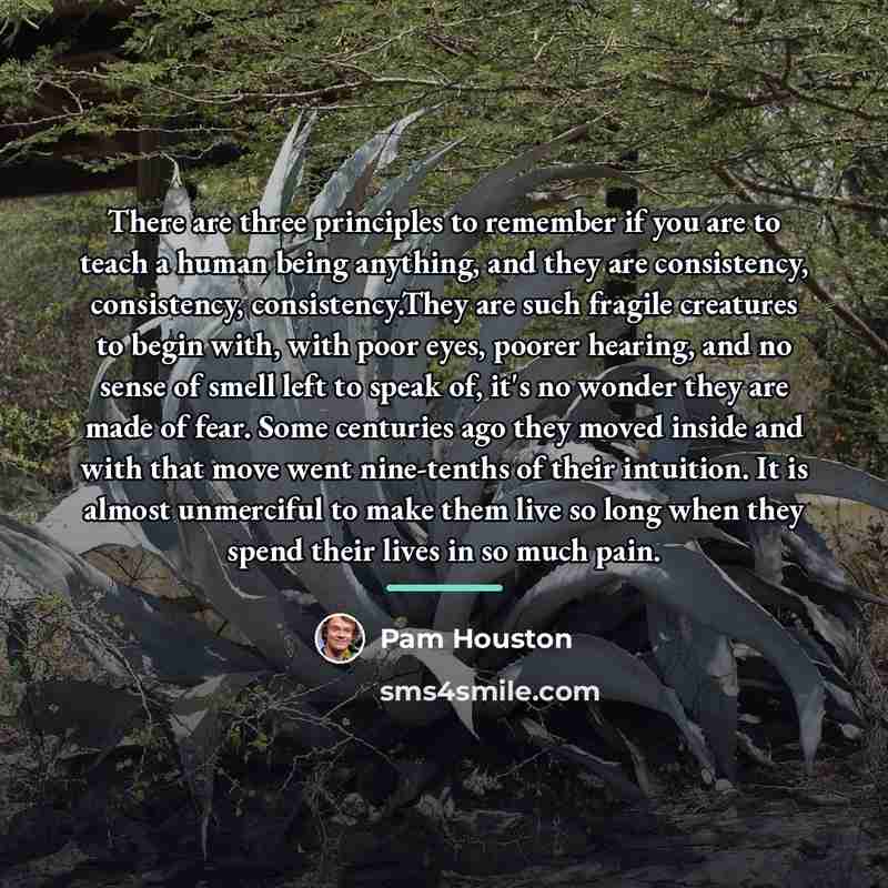 “There are three principles to remember if you are to…” quote by Pam Houston
