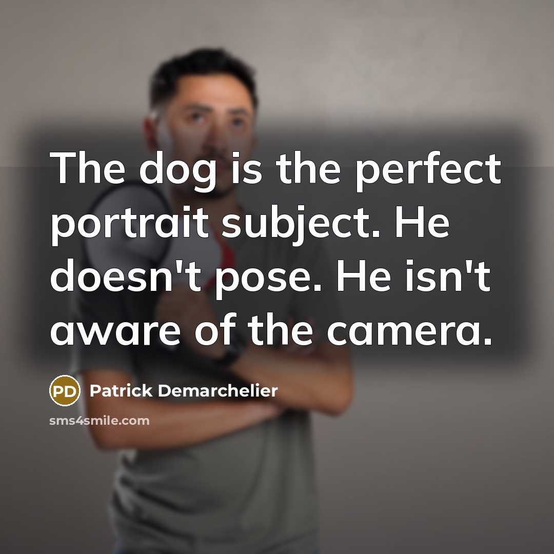 “The dog is the perfect portrait subject. He doesn't pose.…” quote by Patrick Demarchelier