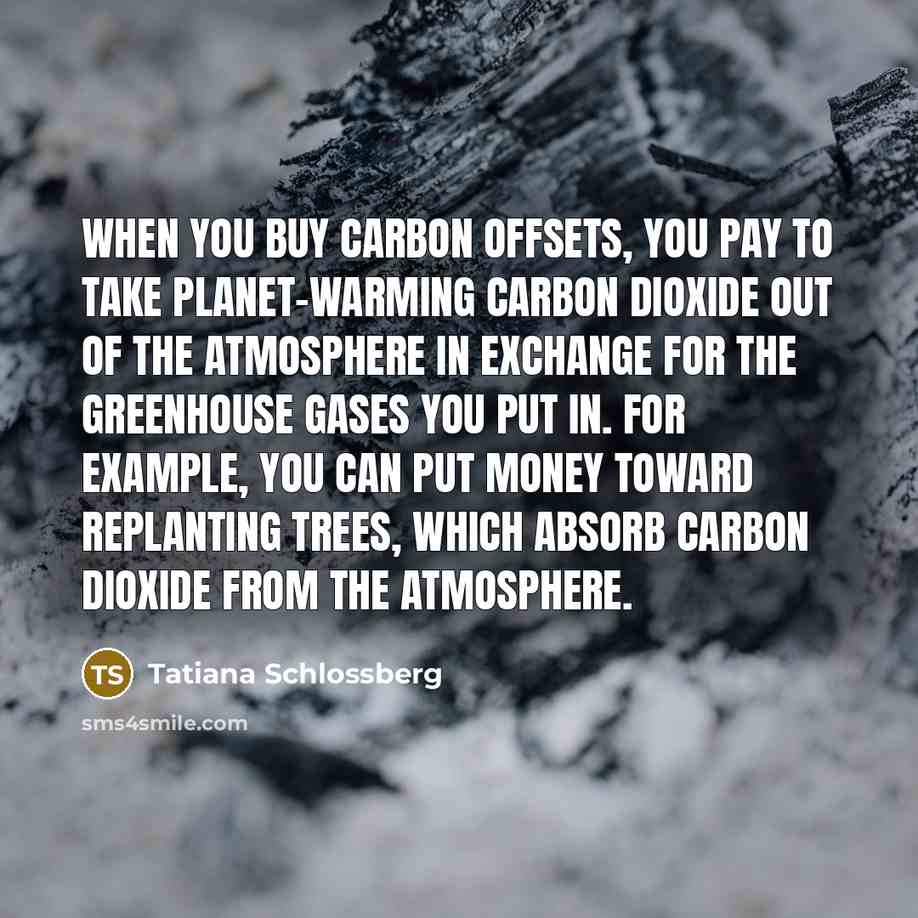 “When you buy carbon offsets, you pay to take planet-warming…” quote by Tatiana Schlossberg