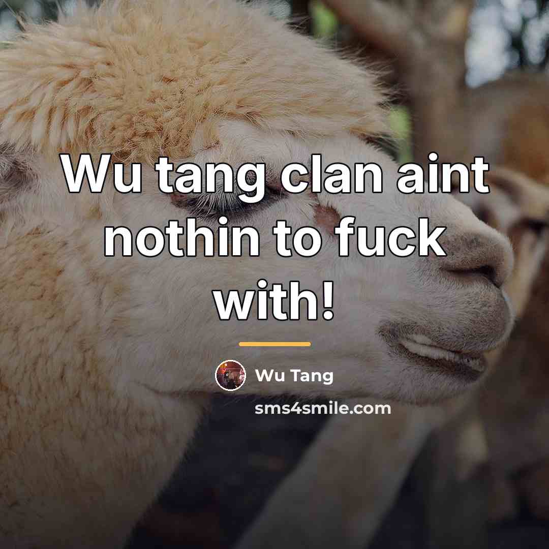 “Wu tang clan aint nothin to fuck with!…” quote by Wu Tang