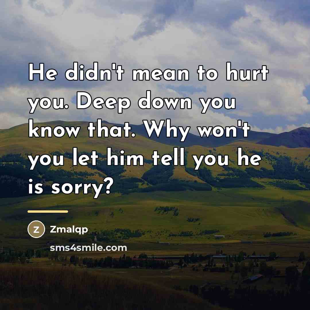 “He didn't mean to hurt you. Deep down you know…” quote by Zmalqp