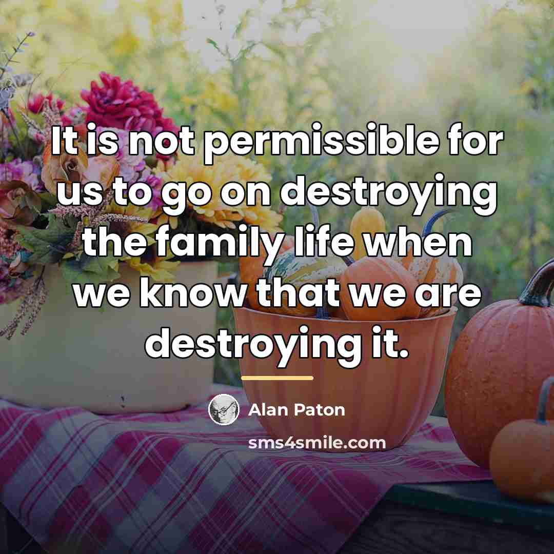 “It is not permissible for us to go on destroying…” quote by Alan Paton